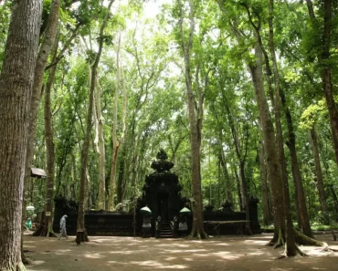 Inilah Kisah Misteri Alas Purwo, Hutan Tertua di Pulau Jawa