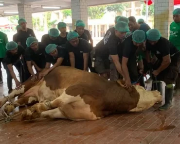 Kisah Mengerikan di Balik Olahan Daging Kurban: 71 Warga Surabaya Keracunan Massal